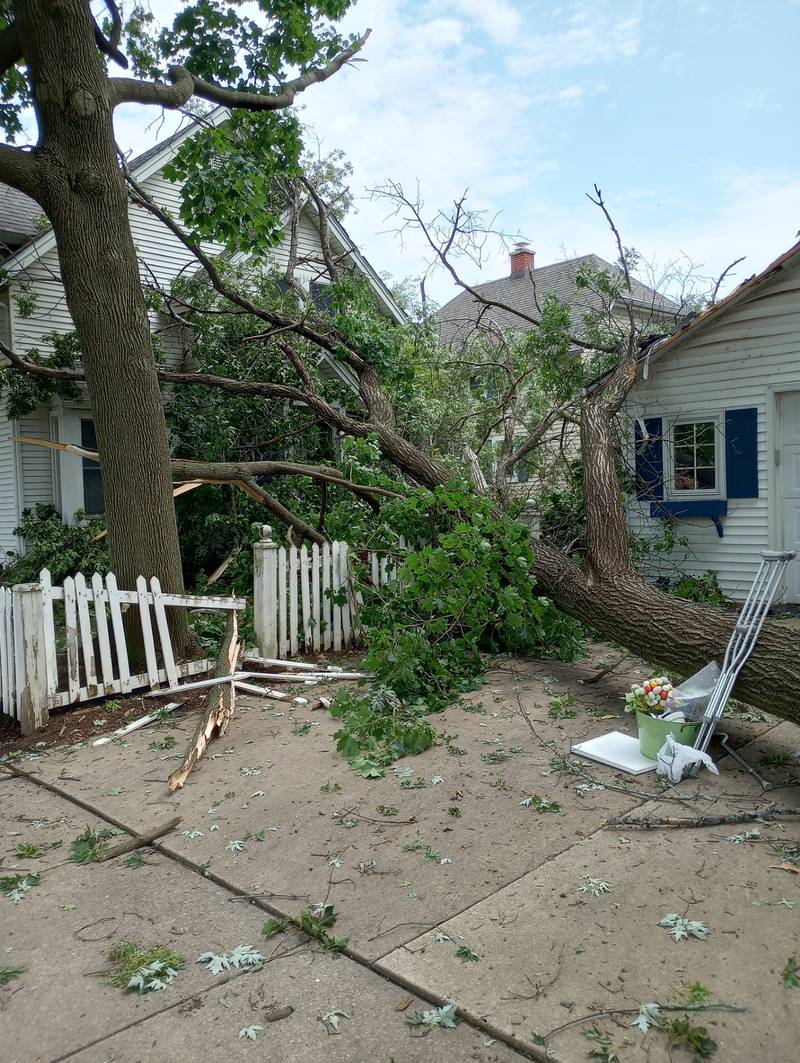 A giant maple tree in the 300 block of North Fourth Street, Geneva, was uprooted during Sunday night's severe storms. The tree damaged the garage roof and the fence, but there no one was injured.