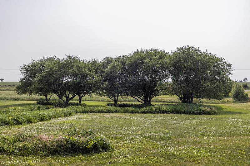 Nathan Whitney settled at the property in in the mid-1800’s and planted a successful orchard, eventually developing the Whitney apple. An owner of the property planted several Whitney apple trees.