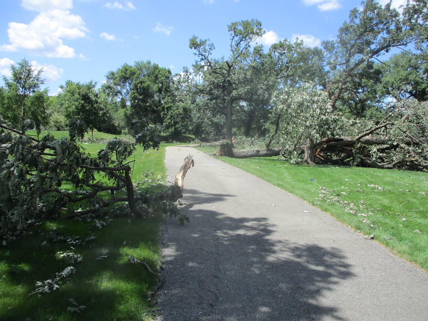 An EF! tornado that the National Weather Service said appeared to intensify Friday night at the DuPage River in Shorewood knocked down trees and branches  on either side of a walkway leading from the river into the River Crossing subdivision. July 30, 2023.