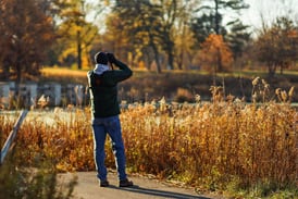 Interested in our migrating feathered friends? Join free bird walks in Glen Ellyn