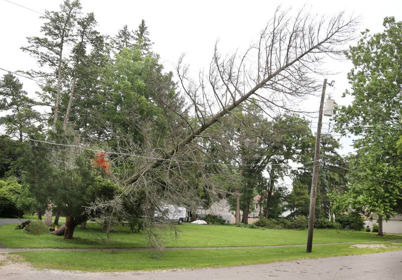 An uprooted tree lies across power lines on Central Avenue in Genoa Tuesday, July 16, 2024, after it fell during the severe thunderstorm Monday night. The storm caused localized damage and flooding throughout DeKalb County.