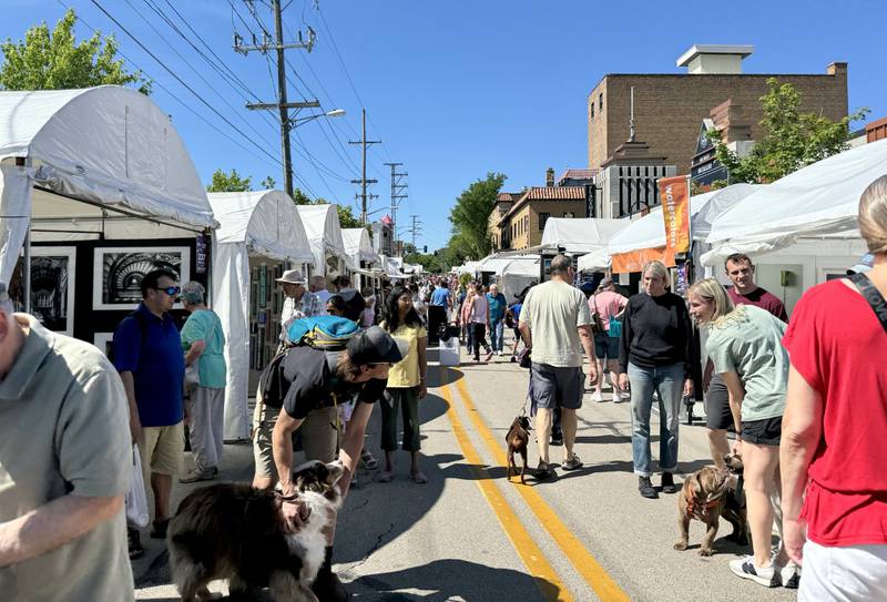 Hundreds attended the annual Fine Art Show on May 25 and 26, 2024, in downtown St. Charles.