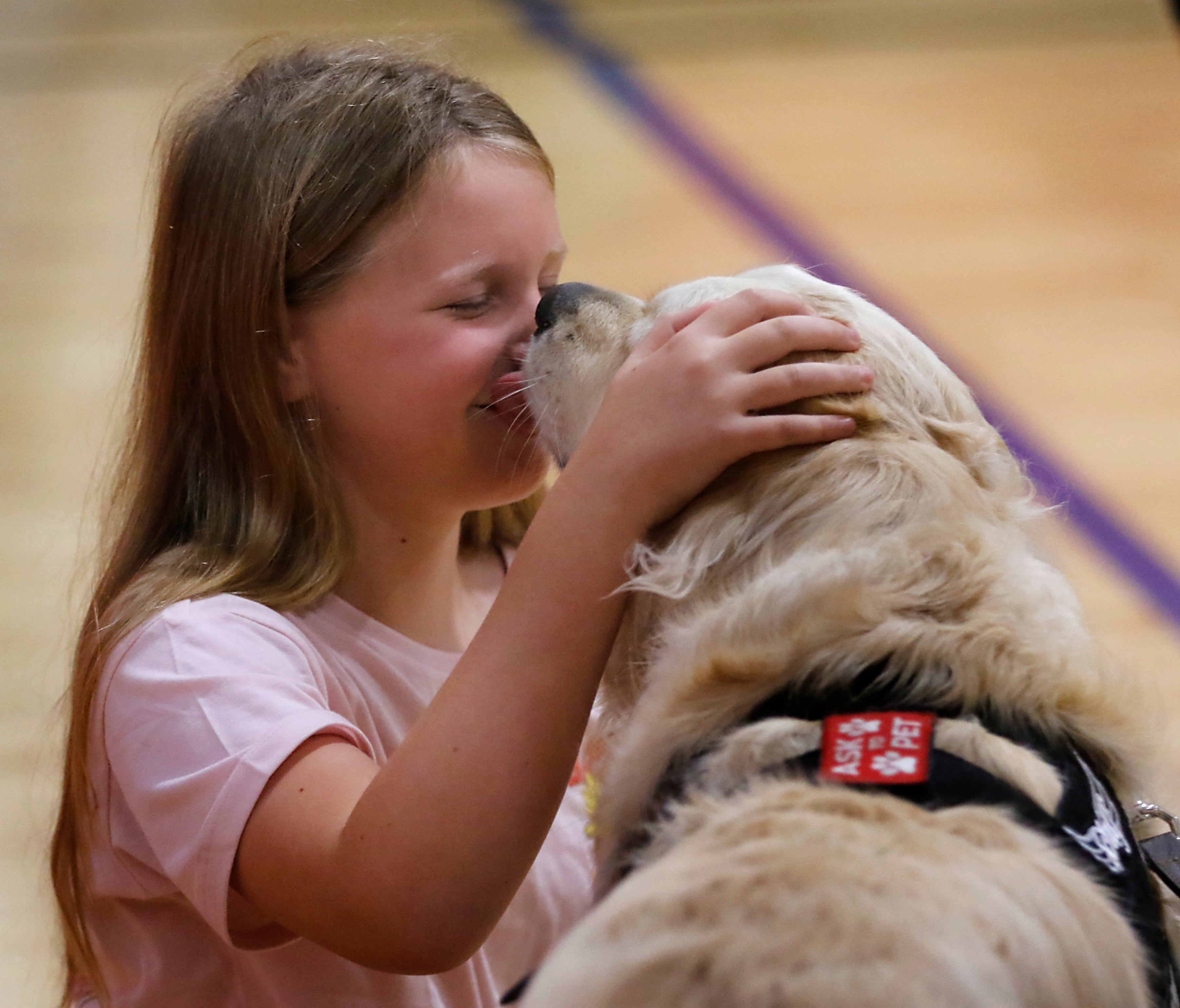 McHenry Police Department therapy dog, Oakley, gives Elise Schift, the daughter teacher Emily Schilf, a kiss on Friday, Aug. 16, 2024, at Duker Elementary School after a ceremony to present Oakley with a patch in honor of mother, who passed away earlier in the year.