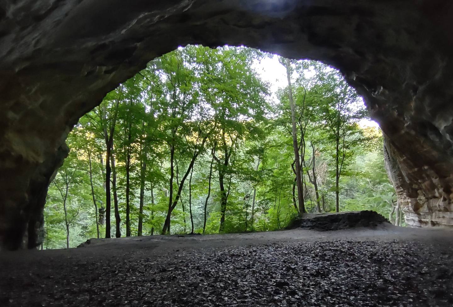 Hikers who stand beneath Council Overhang at Starved Rock State Park can look out to a wooded view beyond.