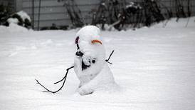 Through the Lens: Sauk Valley’s Friday snowstorm in photos