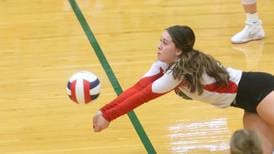 IVCC volleyball preview: Eagles have small but versatile roster under new coach