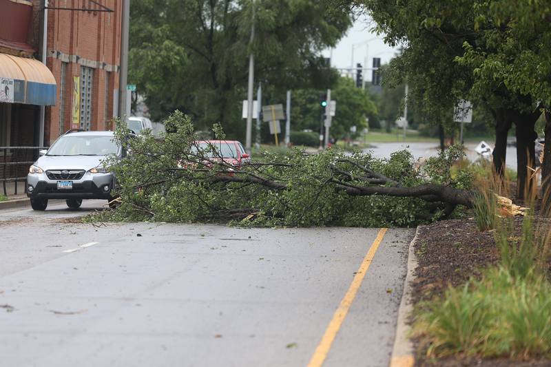 Cars navigate around a downed tree along South Chicago Street after a storm blew through Joliet Sunday morning, July 14, 2024.