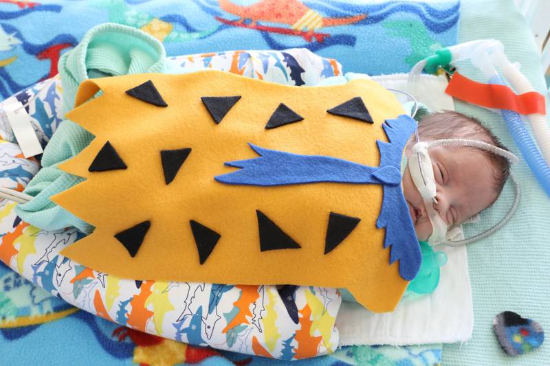 JoAnn Gorsline, a Neonatal Intensive Care Unit nurse at Mercyhealth’s Javon Bea Hospital–Riverside in Rockford, made more than 50 costumes for babies who stay in the NICU at Mercyhealth in the month of October.