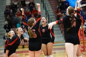 Photos: Erie-Prophetstown takes title at Oregon Volleyball Tournament