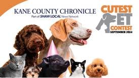 September 2024 Kane County's Cutest Pet Contest