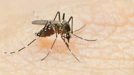 Geneva to conduct citywide mosquito spraying Wednesday 