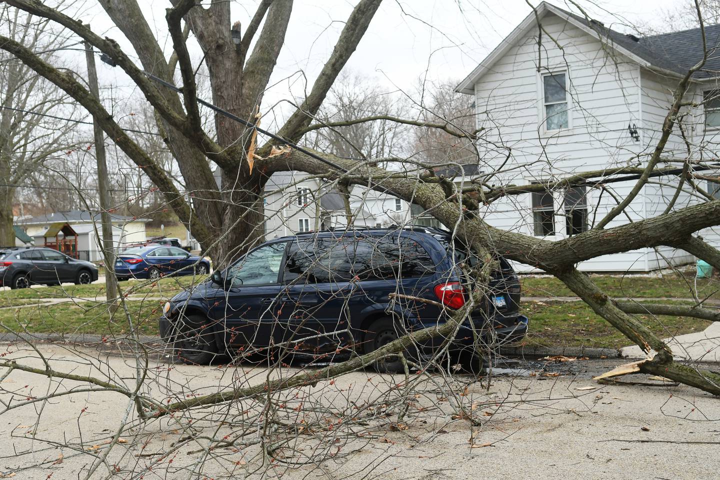A llarge limb off a tree on N. Sixth Street in Oregon fell on two vehicles during the March 31 storm that raced across the region.