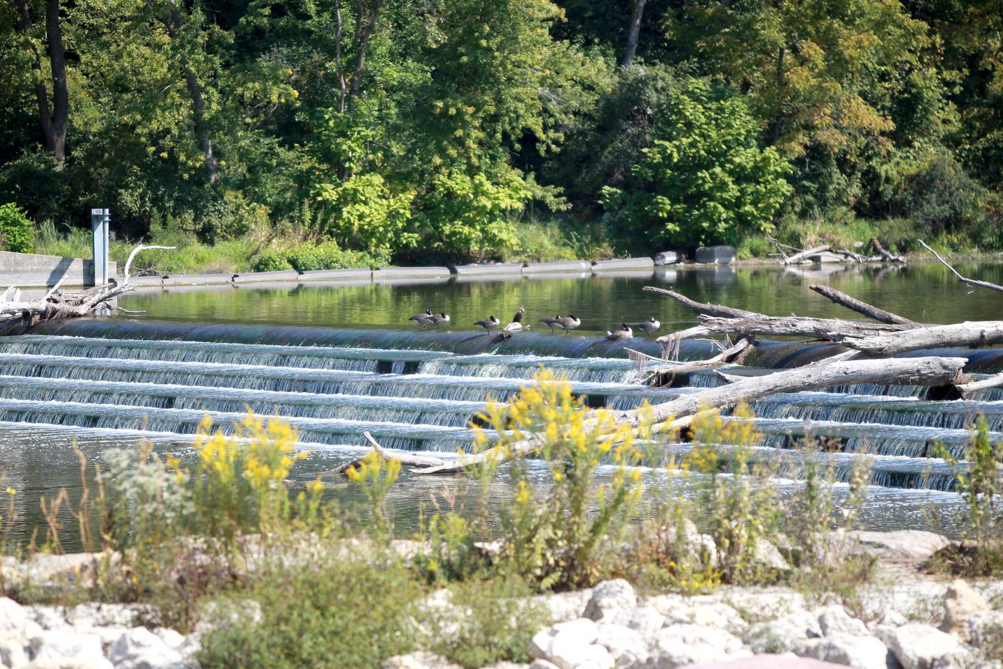 According to the Illinois Department of Natural Resources (IDNR), the Glen D. Palmer Dam in Yorkville is not scheduled for removal or any modifications.