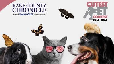 July 2024 Kane County's Cutest Pet Contest