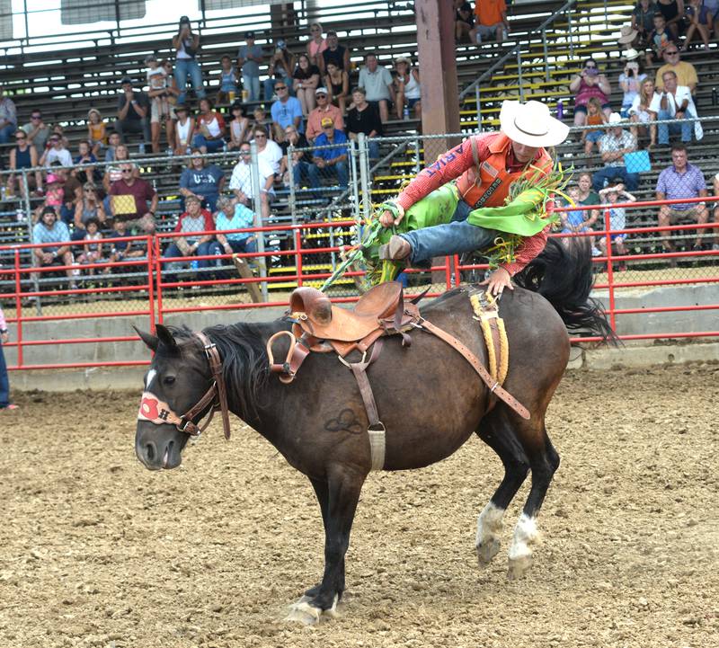 A cowboy gets tossed from his bucking bronco in the afternoon session of the Big Hat Rodeo at the Ogle County Fair on Friday, Aug. 4 2023.