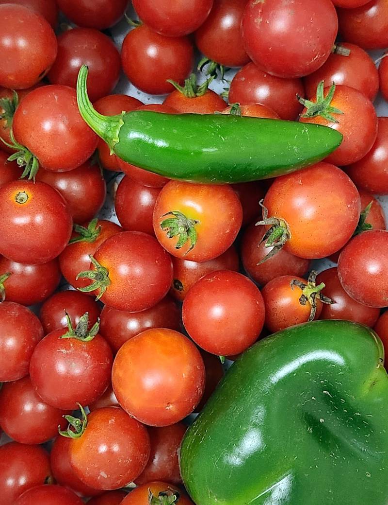 Produce grown in Sterling's community garden in 2023. Plots for this year's community garden soon can be claimed.