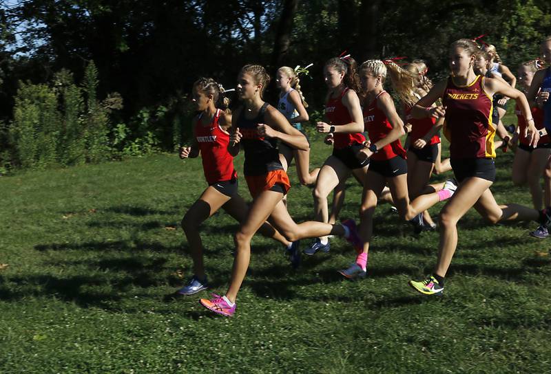 Competitors in the girls race start the McHenry County Cross Country Invite on Saturday, August 31, 2024, at McHenry Township Park in Johnsburg.