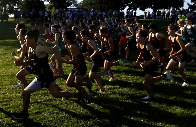 Runners fly off the starting line during the boys race of the McHenry County Cross Country Meet Saturday, August 27, 2022, at Emricson Park in Woodstock.