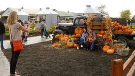 Fall family fun and frights at Halloween parties, pumpkin farms, hayrides and more