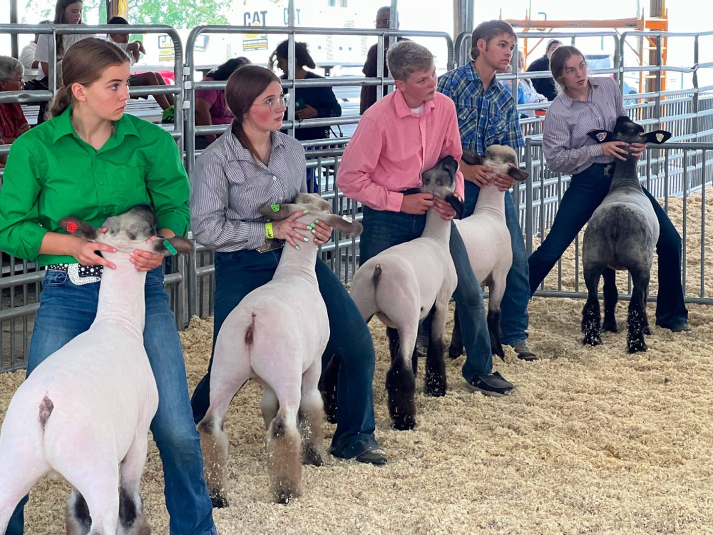 Extension’s Eisnaugle celebrated at Kendall County Fair Shaw Local