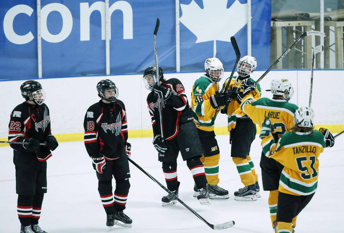 Crystal Lake South's Midas Bacidore (center) celebrates his tying goal in the third period against the D-155 Predators on Sunday at Leafs Ice Center in West Dundee. The game ended in a 3-3 tie.