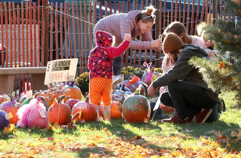 Families get their pumpkins set up in the pumpkin display area Wednesday, Oct.26, 2022 on the DeKalb County Courthouse lawn during the first day of the Sycamore Pumpkin Festival.