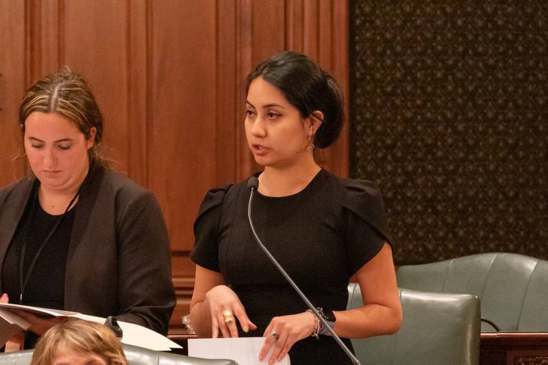 State Rep. Barbara Hernandez, D-Aurora, is pictured in a file photo on the Illinois House floor. She’s the sponsor of a bill to create a stipend program for student teachers, although she said she doesn’t expect funding to be allocated for it in next year’s budget.