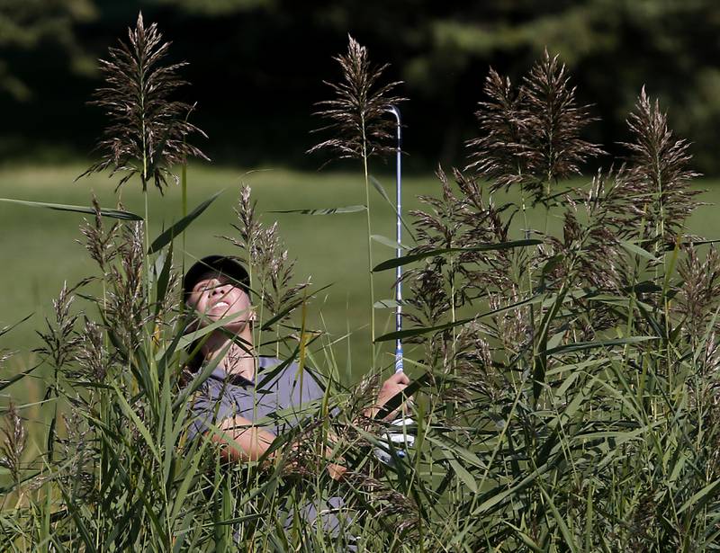 Jacobs’ Natalie Zimmerman watches her fairway shot on the 5th hole of the Valley course during the McHenry County Tournament on Thursday, Sept.12, 2024, at Boone Creek Golf Club in Bull Valley.