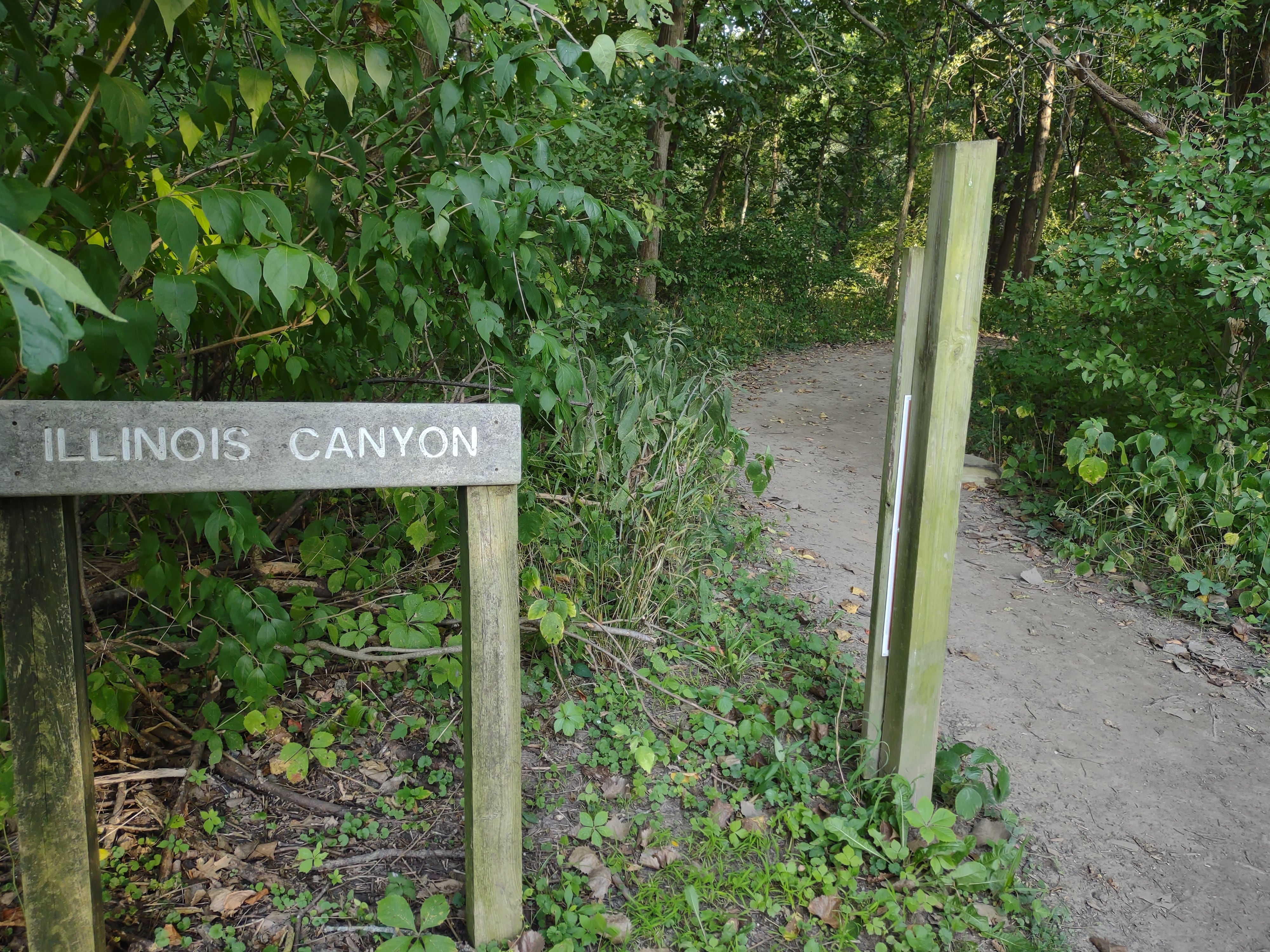 Illinois Canyon at Starved Rock State Park