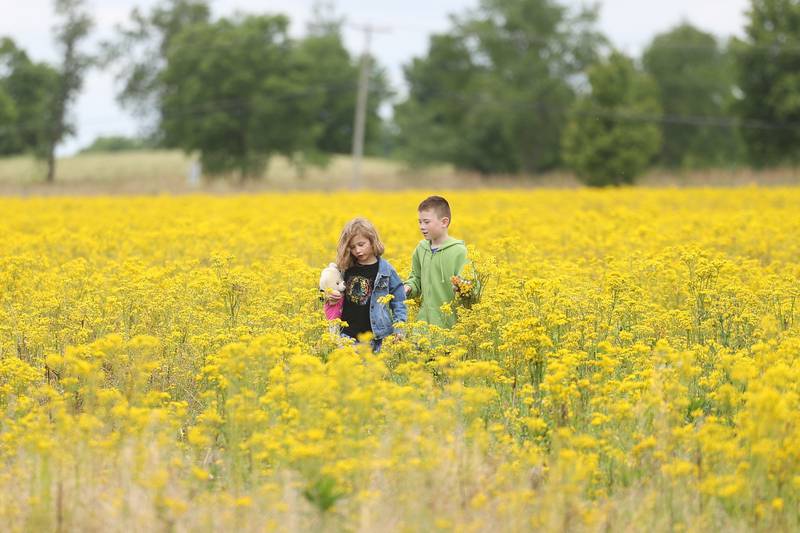 Harper Cavett, 6, and Bryant Locke, 7, play in a field along the parade route at Plainfield’s Memorial Day and Ceremony event on Monday, May 27, 2024.