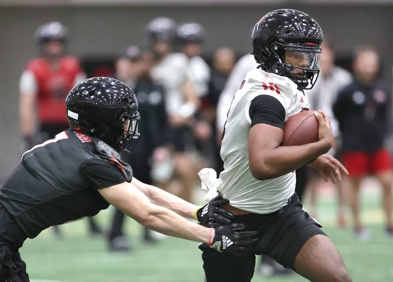 Northern Illinois University quarterback Jalen Macon tries to avoid safety Jordan Hansen Tuesday, March 26, 2024, during spring practice in the Chessick Practice Center at NIU.