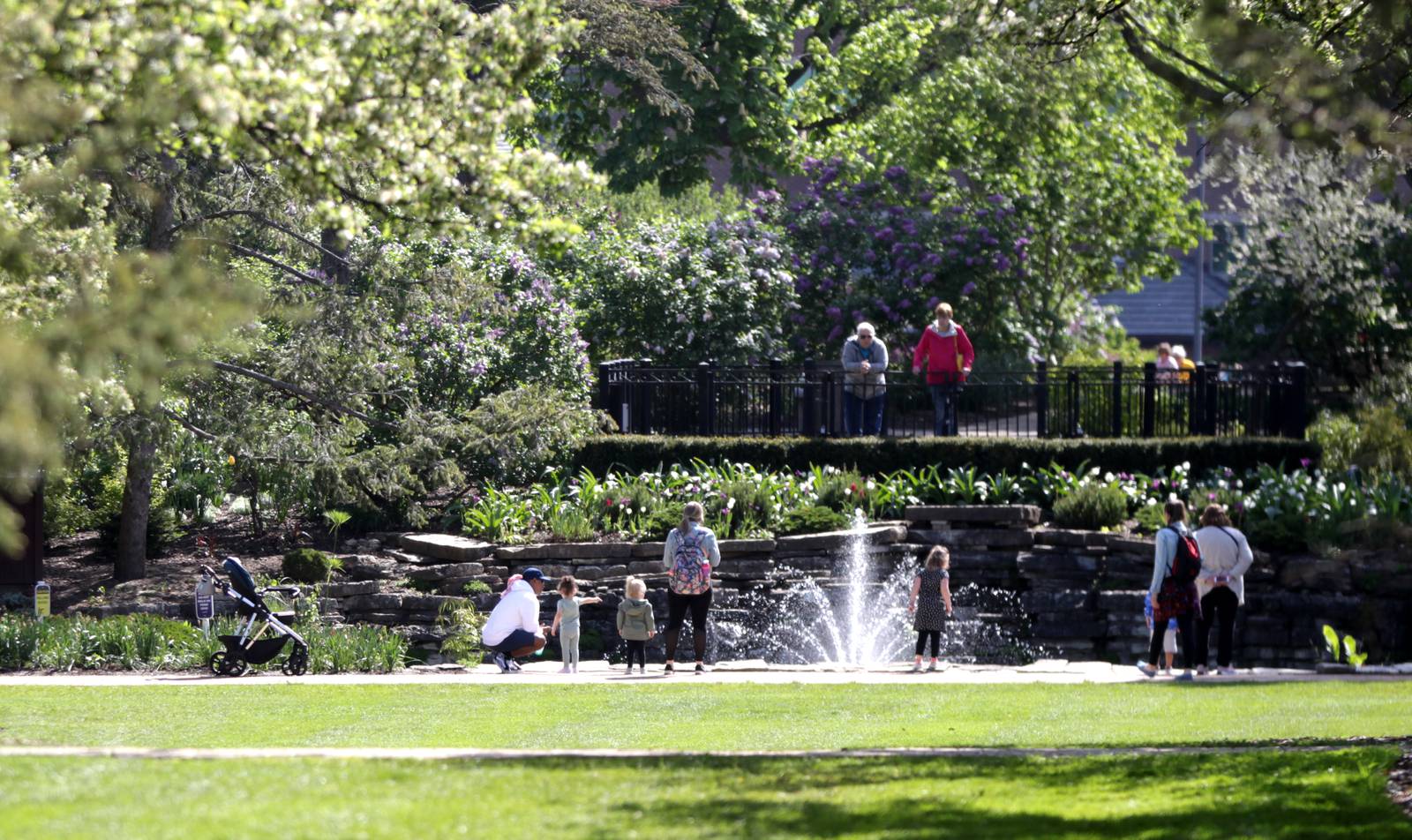 Photos Lilac Time at Lilacia Park in Lombard Shaw Local