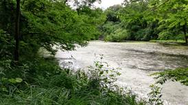 Good Natured in St. Charles: Fading summer spurs avian sound of silence