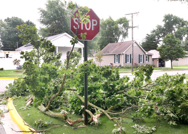 A stop sign is covered in debris on Central Avenue in Genoa Tuesday, July 16, 2024, after the severe thunderstorm Monday night. The storm caused localized damage and flooding throughout DeKalb County.