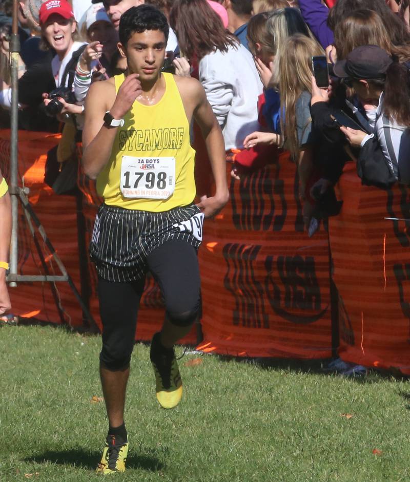 Sycamore's Naif Al Harby competes in the Class 2A State Cross Country race on Saturday, Nov. 4, 2023 at Detweiller Park in Peoria.