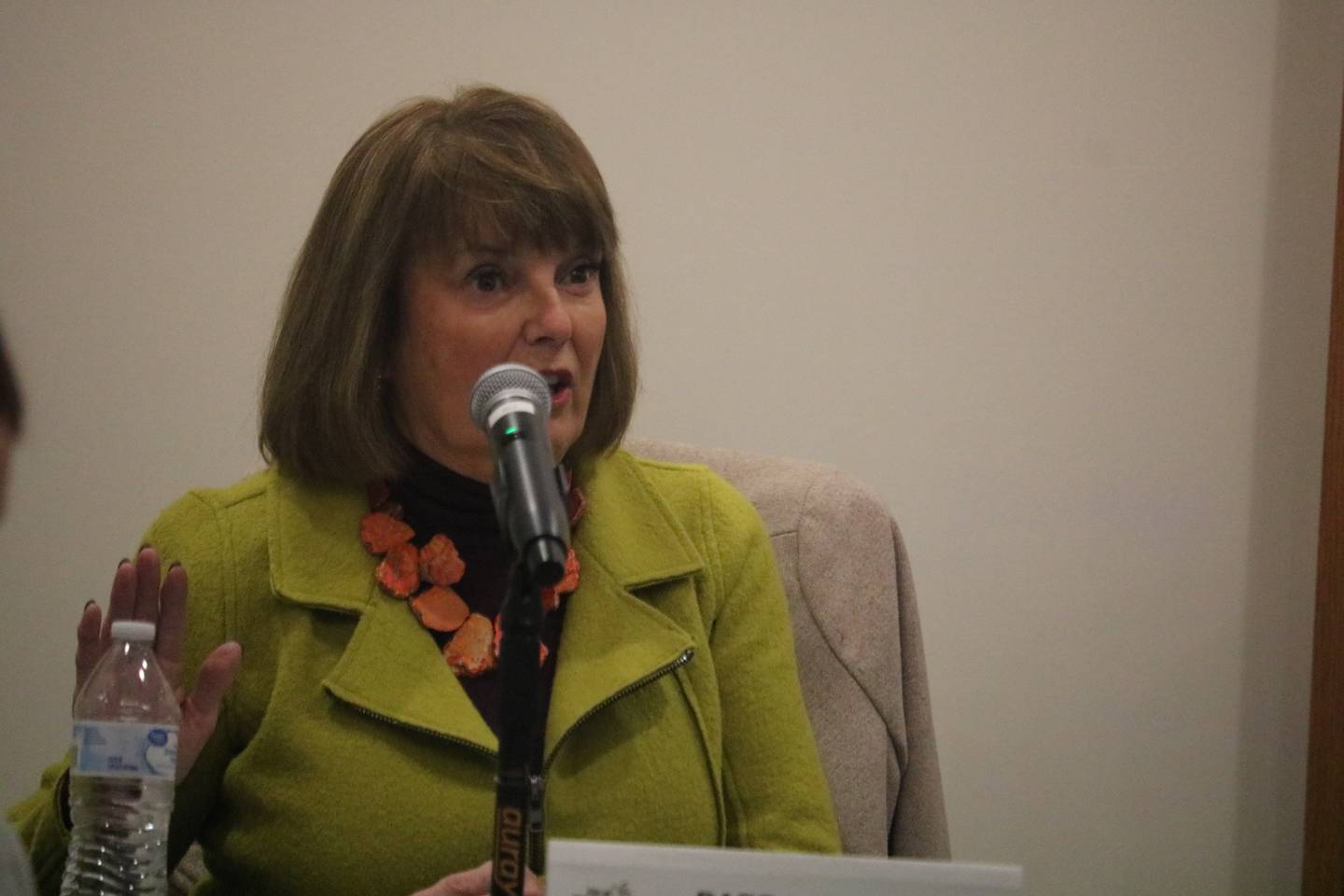 2nd Ward DeKalb Alderwoman Barb Larson speaks at the Jan. 8, 2024 meeting of the DeKalb City Council.