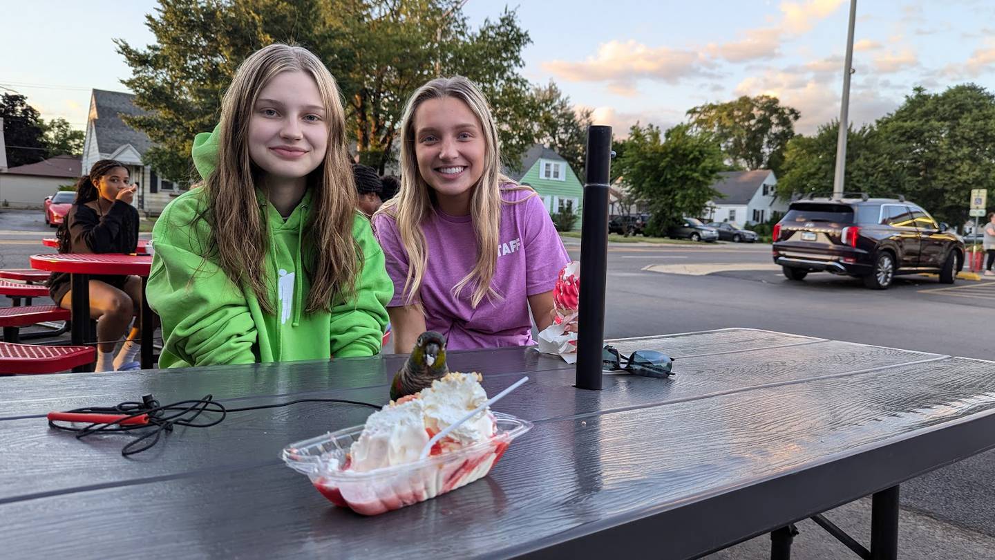 Petey, a parrot that belongs to Larry and Traci Jungles of Joliet, poses for the camera with the couple's daughters (from left) Abigail Jungles, 15; and Lillian Jungles, 18, while enjoying ice cream at Walt's Ice Cream in Joliet on Wednesday, June 26, 2024.