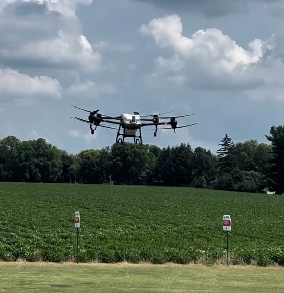 La Salle County crop and rainfall report: Farmers assess storm impact as corn continues to tassel