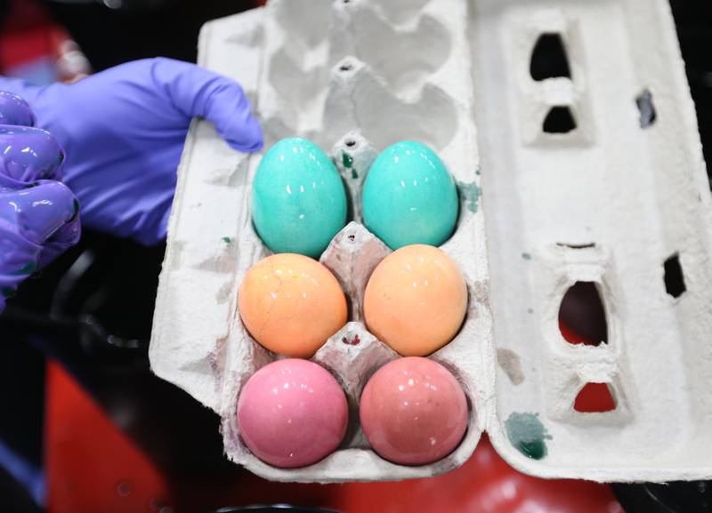 A view of some of the colorful hard boiled Easter eggs on Friday, March 29, 2024, at the Utica Fire Station for the department's annual Easter Egg Hunt. The hunt takes place 11 a.m. Saturday, March 29, in Carey Memorial Park in Utica. The Utica Fire Department has been featuring hard boiled eggs for its hunts since the 1970s.