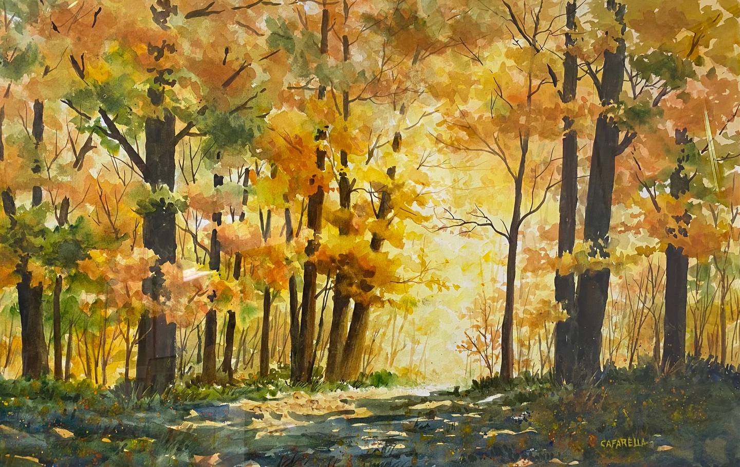 "Light in the Woods" art piece by Graydon Cafarella