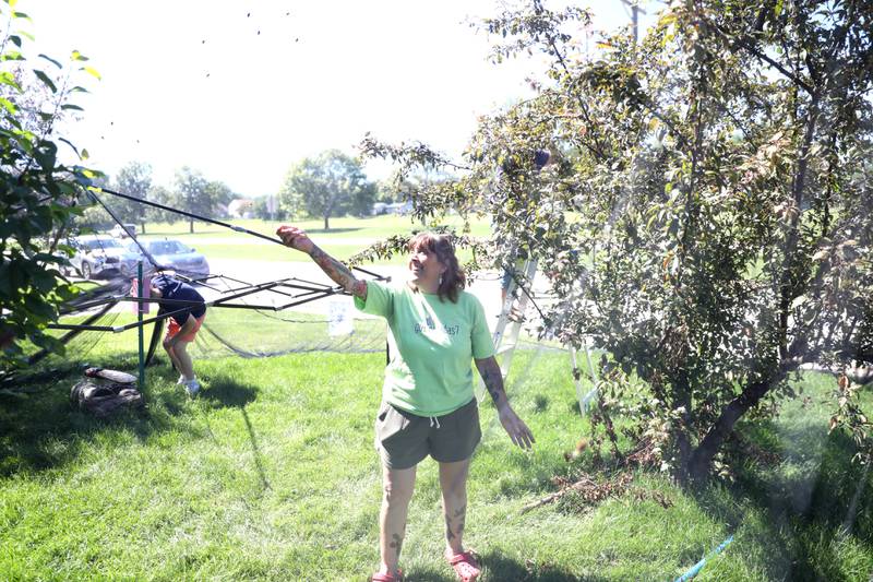 Seventeen years ago, North Aurora resident Bettina Sailer felt cheated when her yard did not buzz with the sound of 17-year cicadas. She went to other areas of the state where cicadas were plentiful and brought them back to her yard. With her yard facing a similar lack of cicadas this year, she has been doing the same thing and now has more than 4,000 cicadas in her yard.