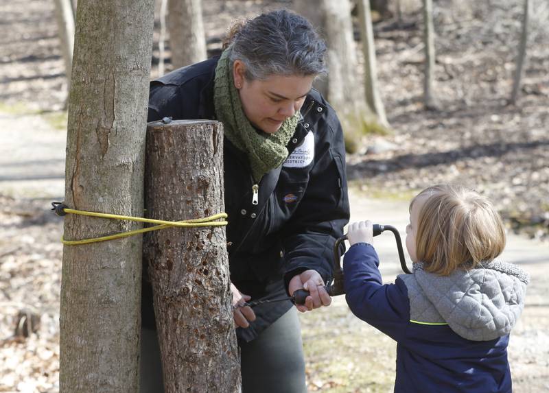 Beth Gunderson helps Emrys Burrow, 3, of McHenry, drill a hole as he learns how to tap a sugar maple tree during the McHenry County Conservation District’s annual Festival of the Sugar Maples on Monday, March 6, 2023, at Coral Woods Conservation Area in Marengo.