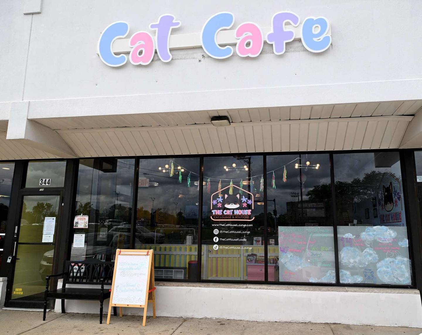 The Cat House, a cat lounge and boutique, opened at 344 E. Irving Park Road in Roselle on June 28, 2024.