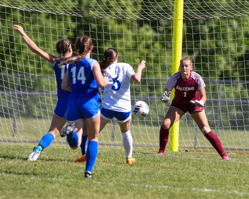 Wheaton North's Zoey Bohmer (1) makes a save during the sectional title game while taking on St. Charles North on Saturday May 25, 2024, at South Elgin High School.