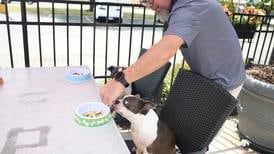 These Will County restaurants cater to canines