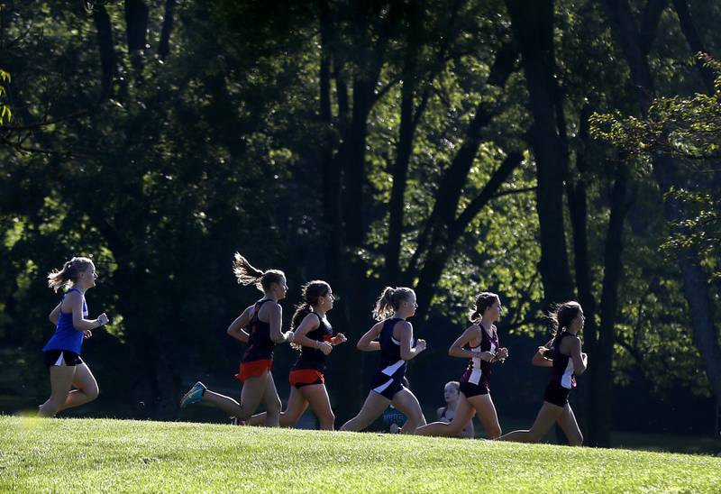 Runners make the way through the cross country corse during the girls race of the McHenry County Cross Country Meet Saturday, August 27, 2022, at Emricson Park in Woodstock.