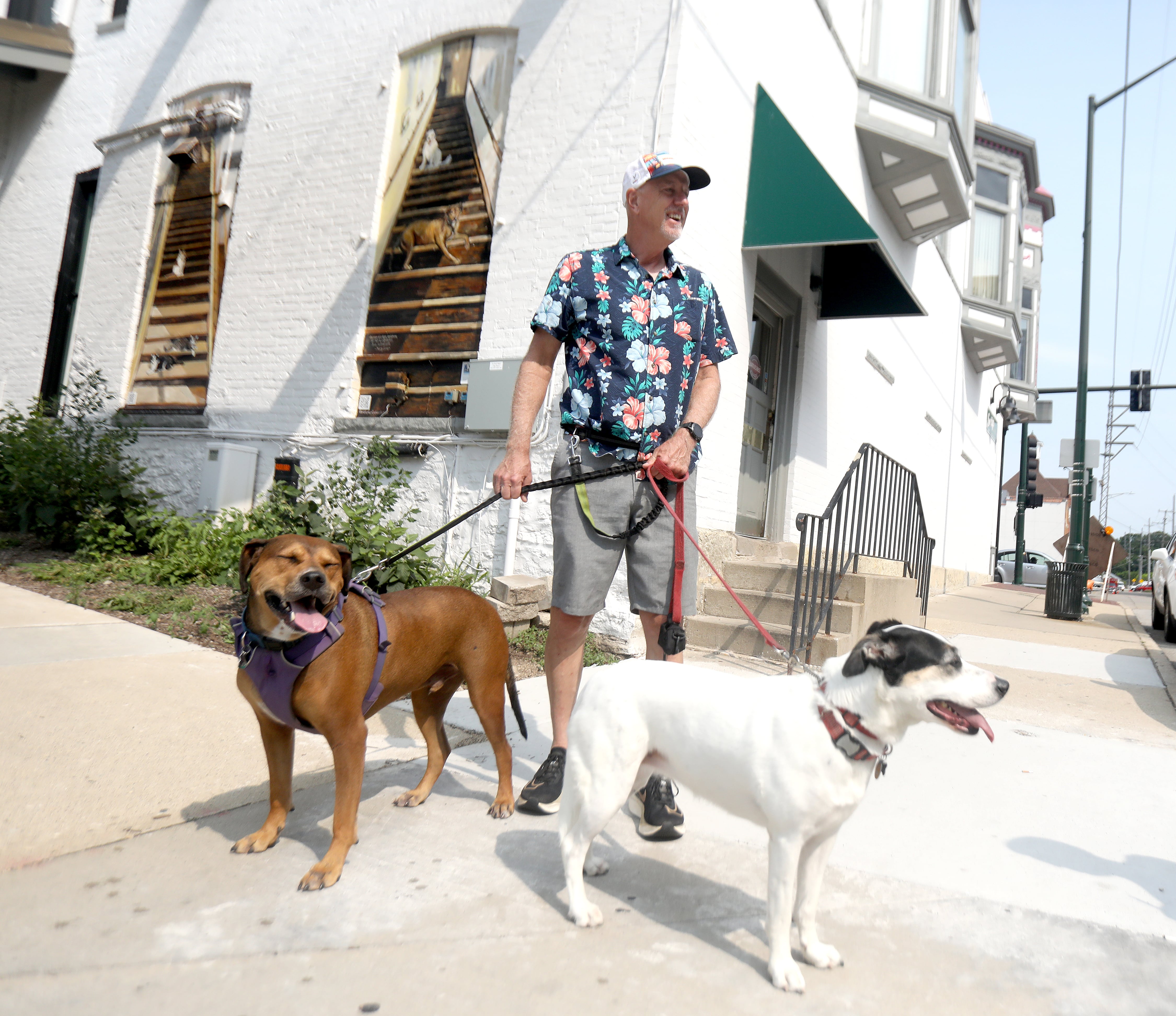 New Murals in St. Charles encourage support for local animal rescues