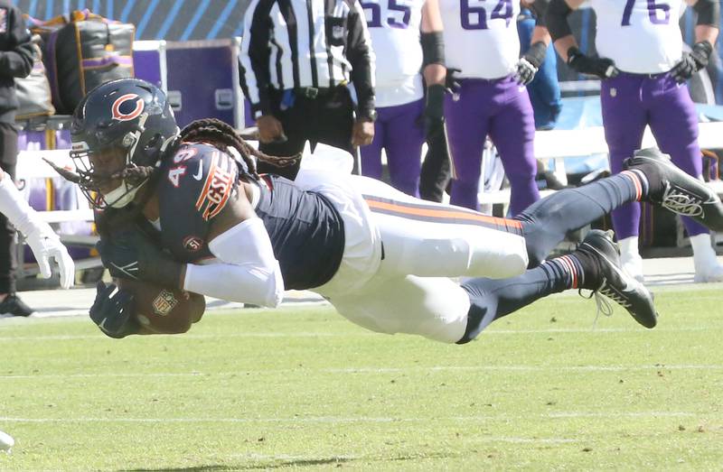 Chicago Bears line backer Tremaine Edmunds intercepts a pass by the Minnesota Vikings on Sunday, Oct. 15, 2023 at Soldier Field.