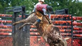 5 Things to Do: Kane County Fair in Kane County