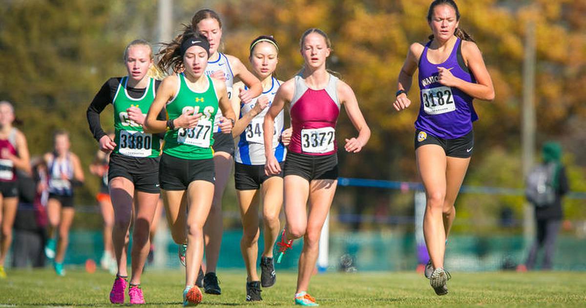Photos IHSA Class 2A Cross Country Sectional at Lakes Shaw Local